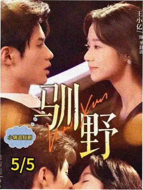 重案六组第一部单元案件结构分析